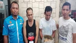 Polisi Tangkap 2 Pengedar Ganja di Asahan, 1 Orang Mantan TNI