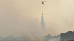 Kebakaran Hutan dan Lahan di Kalteng, BNPB: Helikopter Lepaskan 4.000 Bom Air