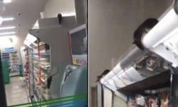 Viral, Tikus Serbu Minimarket di Tokyo