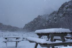 Cuaca Dingin Disertai Angin Kencang Terjang Australia, Warga Diminta Waspada