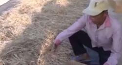 Jelang Hari Raya Idul Adha, Penjual Tusuk Sate Laris Manis