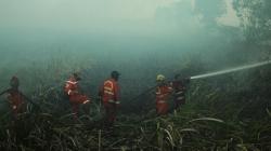 Titik Panas Masih Terdeteksi di Indonesia, Malaysia hingga Papua Nugini