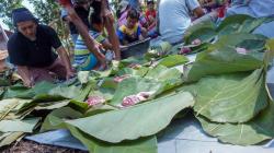Warga Jateng Gunakan Daun Jati Gantikan Plastik untuk Bungkus Daging Kurban