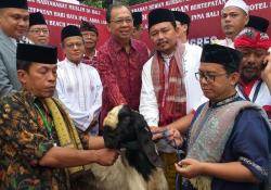 DPP PDIP Serahkan 30 Ekor Kambing Kurban untuk Warga Bali