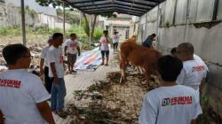 Kurban 7 Sapi, Master C19 Berbagi dengan Relawan dan Warga Jakarta