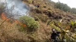 Kebakaran Hutan di Gunung Ciremai Terus Meluas Hingga 450 Hektare