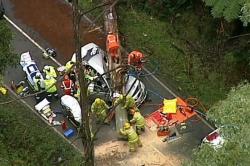 Pohon Tumbang akibat Angin Kencang Tewaskan 1 WNI di di Australia