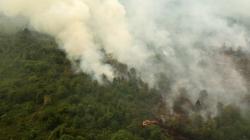 Kebakaran Hutan dan Lahan Picu Penderita ISPA di Sumsel Capai 274.502 Orang
