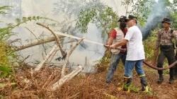 Gubernur Kalteng: Kasus Karhutla Dilakukan Sengaja dan Terorganisasi