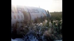 Mesin Kemasukan Burung, Pesawat Angkut 233 Penumpang Mendarat di Lapangan Rumput