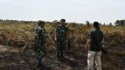 Pangdam II/Sriwijaya: Pembakar Hutan dan Lahan adalah Teroris Lingkungan Hidup