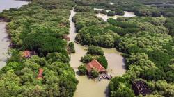 Melihat Dusun yang Tenggelam sejak Tahun 2006 karena Abrasi