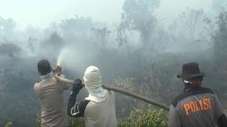 Polisi Tangkap 40 Tersangka Kasus Pembakaran Lahan di Kalimantan Barat