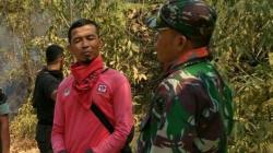Anggota Satgas Karhutla Jambi Tewas Tertimpa Pohon saat Bertugas