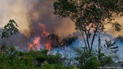 Macron: Kebakaran Hutan Amazon Krisis Internasional, Harus Dibahas di KTT G-7