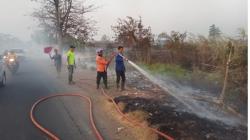 Lahan Ilalang Seluas 3 Hektare Terbakar di Dekat Tol Kanci Cirebon