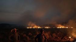 Brasil Kerahkan 44.000 Tentara Perangi Kebakaran Amazon