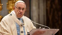 Cemaskan Kebakaran Hutan Amazon, Paus: Paru-Paru Vital bagi Planet Ini