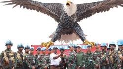 Satgas TNI Konga Kembali Terima Senjata AK 47 dari Eks Kombatan Kongo