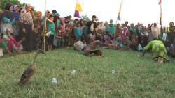 Keseruan Lomba Menangkap Bebek dengan Mata Tertutup Peringati HUT RI di Kendal