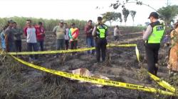 Tragis, Warga di Jombang Tewas Terpanggang saat Bakar Sampah Sisa Panen di Sawah