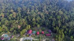 Hutan Lindung di Pagaralam Diusulkan Jadi Taman Nasional untuk Tarik Wisatawan