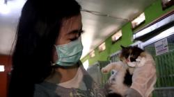 Berawal Hobi, Gadis asal Jombang Ini Jadi Jutawan dengan Beternak Kucing