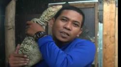Beternak Reptil, Pemuda di Sidoarjo Ini Raup Jutaan Rupiah per Bulan