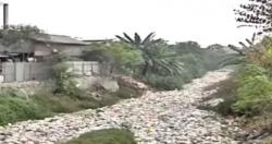 Begini Kondisi Kali Jambe Bekasi Jadi Lautan Sampah, Timbulkan Bau Menyengat