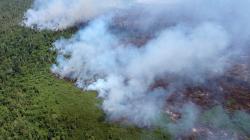 BMKG Identifikasi Ribuan Titik Panas di Indonesia dan Beberapa Negara ASEAN
