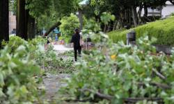 Hantaman Topan Faxai Tewaskan 3 Orang di Jepang, 40 Lainnya Luka