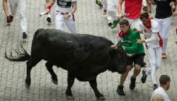 Pria 82 Tahun Tewas Diseruduk Banteng saat Festival di Spanyol