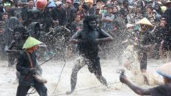 Serunya Kebo-keboan Alasmalang, Tradisi Ratusan Tahun Warga Banyuwangi