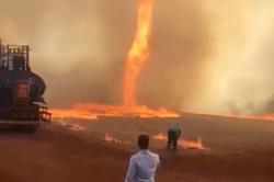 Fenomena Alam Mengerikan, Tornado Api Lalap Lahan Pertanian di Brasil