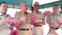Bantu Petani, ASN Bantul Borong 3 Ton Bawang Merah