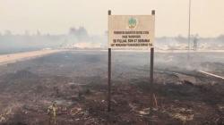 Karhutla Meluas di Kayong Utara Kalbar, Bangunan Sekolah Dasar Ikut Terbakar