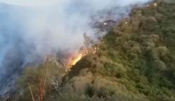 Kebakaran Hutan Gunung Slamet di Tegal Meluas hingga Brebes dan Banyumas