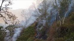 Kebakaran Hutan Gunung Slamet Meluas, Seluruh Jalur Pendakian Ditutup Sementara