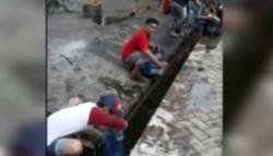 Video Warga Berebut Tumpahan Minyak CPO di Pelabuhan Belawan