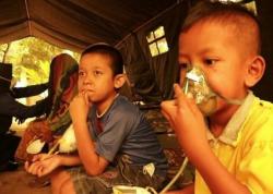 PBB: Kebakaran Hutan di Indonesia Bahayakan Nyawa 10 Juta Anak