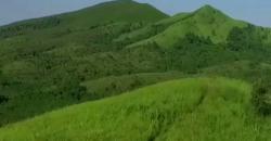 Indahnya Savana Hijau Puncak Telang Kalimantan, Perbukitannya Bergelombang