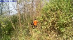 75 Personel Berhasil Padamkan Kebakaran Hutan Gunung Welirang di Mojokerto Jatim