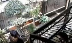 Aksi Komplotan Pencuri Burung Kicau di Komplek DPR Terekam CCTV