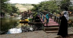 Mengenal Wisata Gorontalo, Ada Kolam Air Panas Lombongo dan Burung Langka Maleo