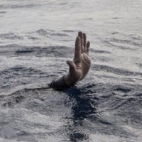 Warga Lubukpakam yang Hilang Tenggelam di Danau Linting Ditemukan Tewas