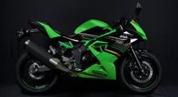 Kawasaki Hadirkan Ninja 250SL Livery KRT di Indonesia, Ini Harganya