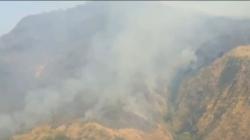 Kebakaran Hutan di Gunung Ringgit Pasuruan Perlu Pemadaman dari Udara karena Lokasi yang Curam 