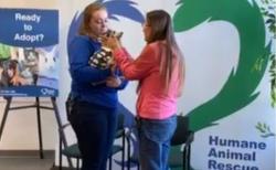 Perempuan Ini Temukan Anjingnya Setelah Hilang 12 Tahun, Posisinya 1.600 Km dari Rumah