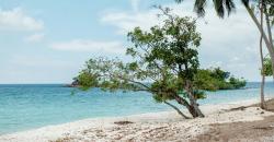 KEK Batam di Pulau Pengalap Bisa Majukan Pariwisata Kepulauan Riau