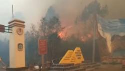 Video Kawasan Wisata Gunung Ijen di Banyuwangi Terbakar